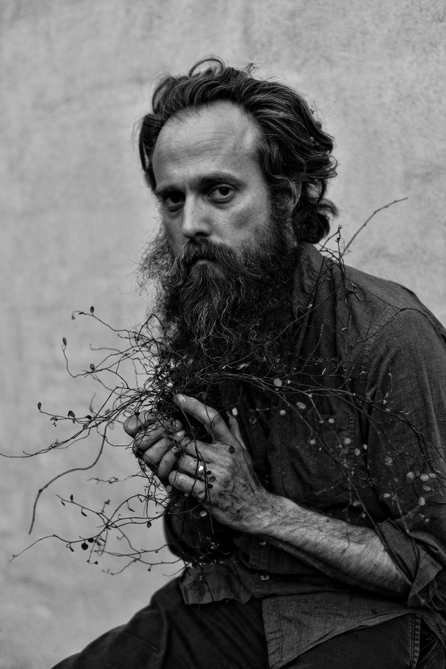 Taylor Guitar Artist - Iron & Wine (Sam Beam)