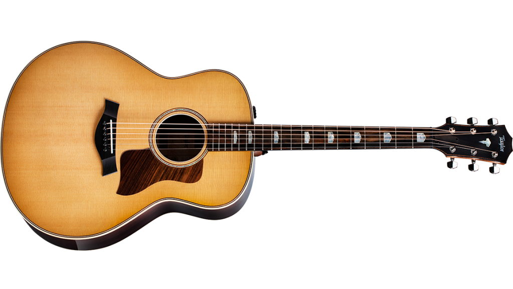 2020 for Taylor Guitars - 828e