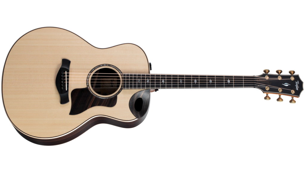 2020 for Taylor Guitars - 816ce