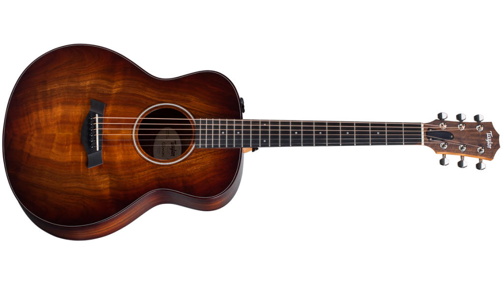 2020 for Taylor Guitars - GS Mini-e