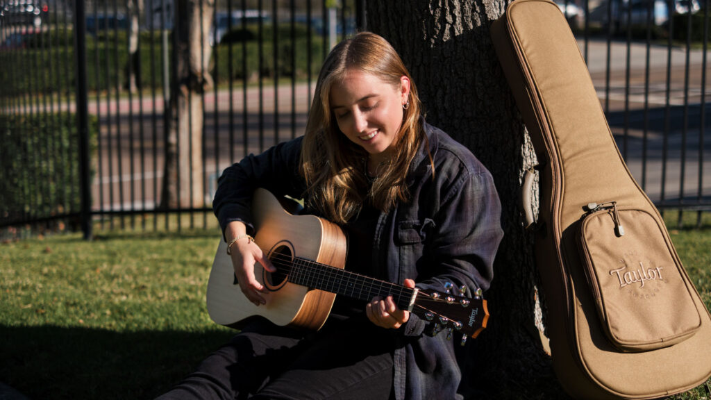 travel size guitar