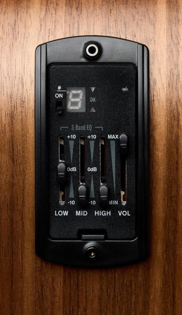 Image of ES-B controls on acoustic guitar